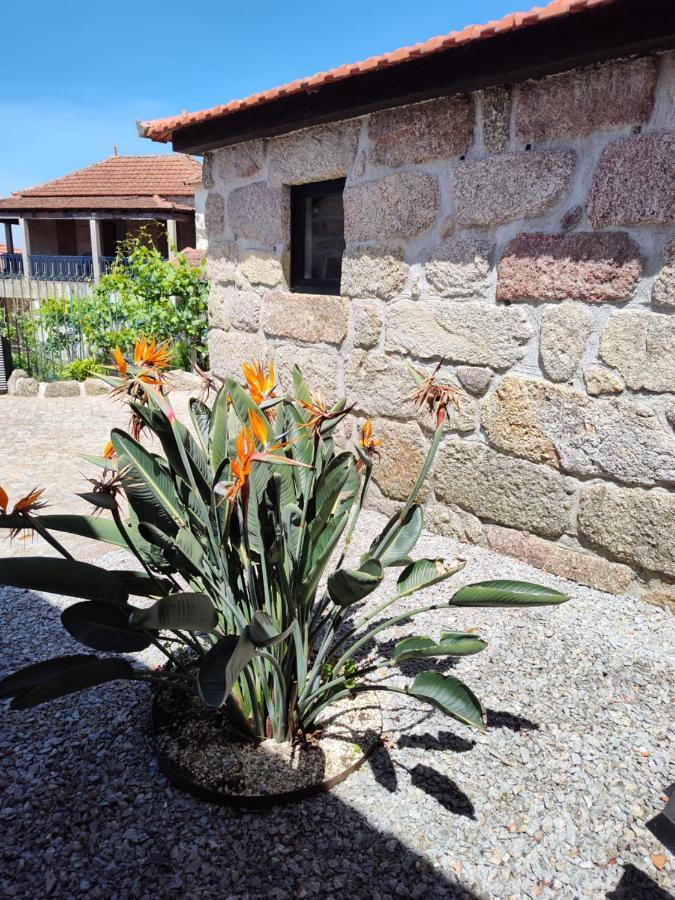 アマランテ Casas Do Arrabaldeヴィラ エクステリア 写真